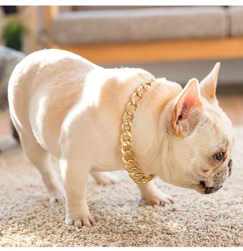 Dog Chain Collar Jewelry