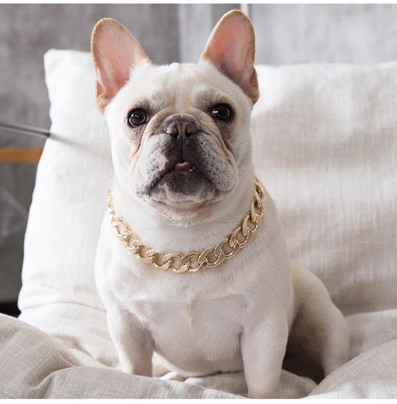 Dog Chain Collar Jewelry