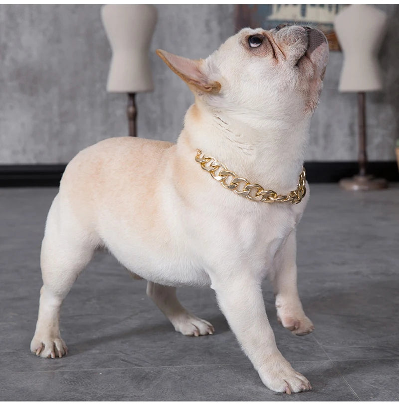 Dog Chain Collar Jewelry