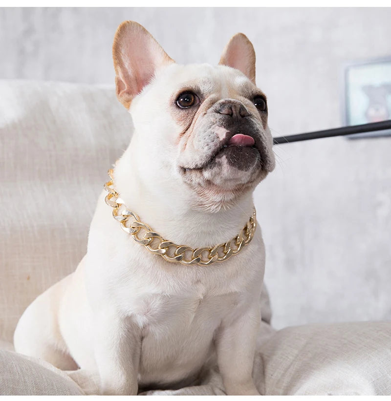 Dog Chain Collar Jewelry