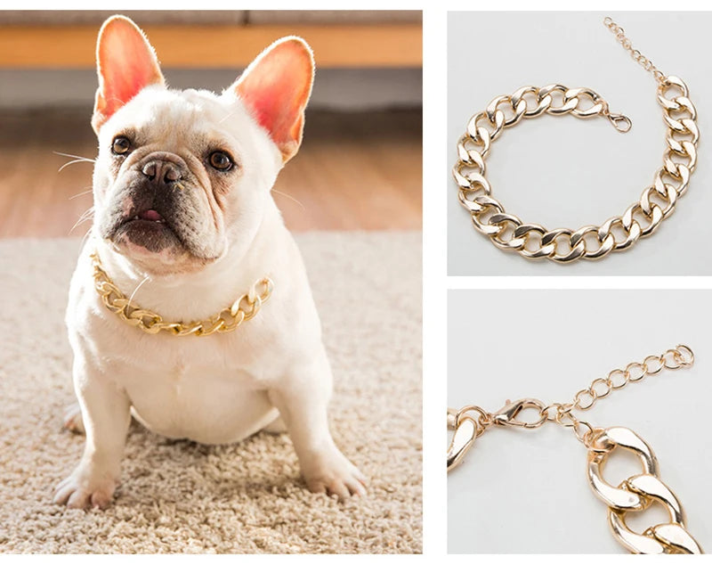 Dog Chain Collar Jewelry