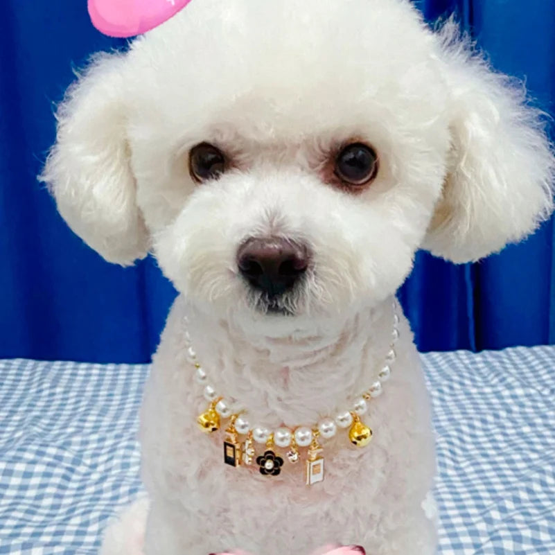 Luxury Pet Jewelry