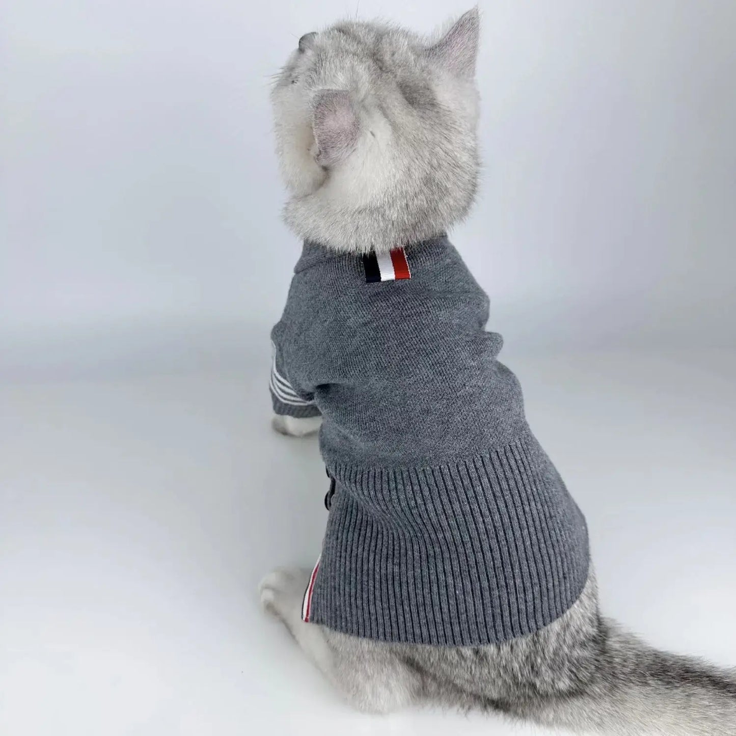 Missy Sweater for Puppy & Kitten