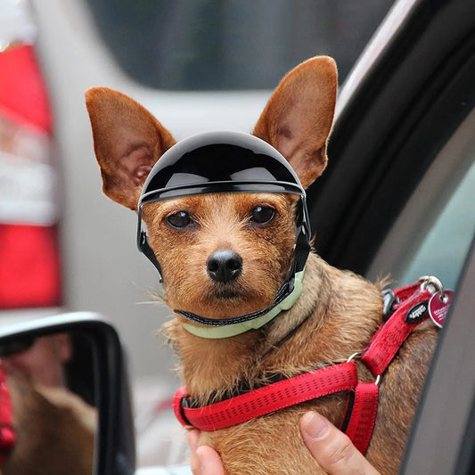 Pet Helmet & Ear Hole Motorcycle Helmet