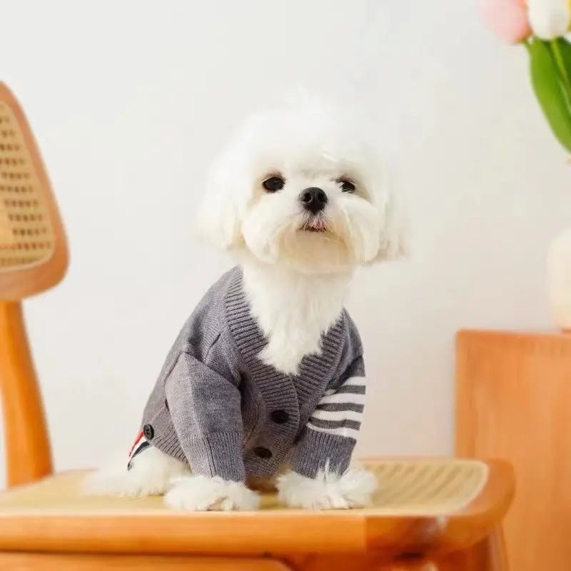 Missy Sweater for Puppy & Kitten