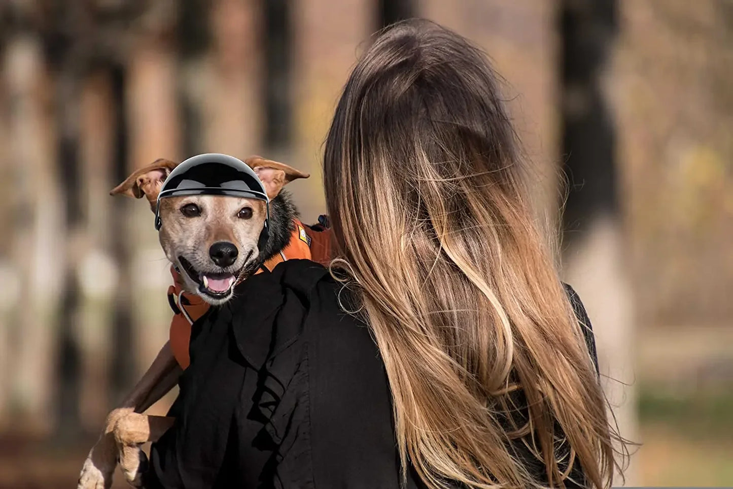 Pet Helmet & Ear Hole Motorcycle Helmet