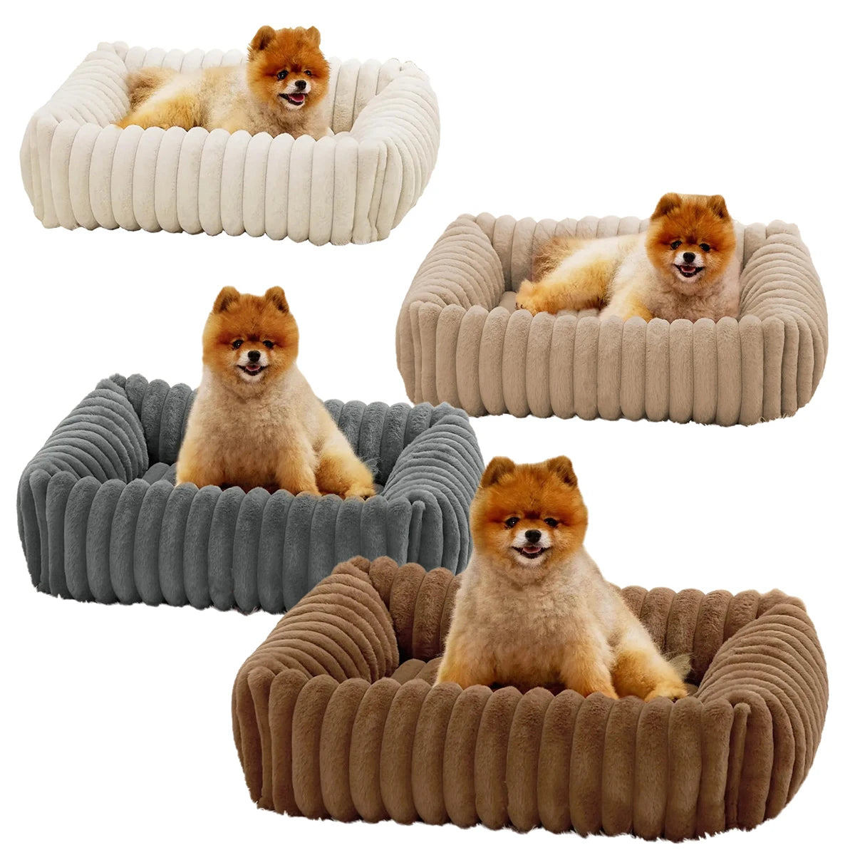 Luxury Sofa Bed