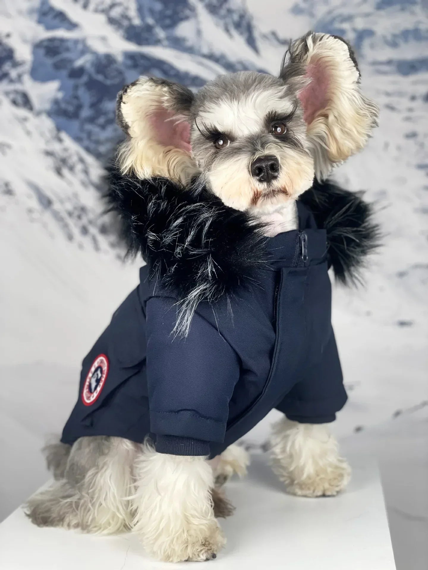 Bailey Jacket