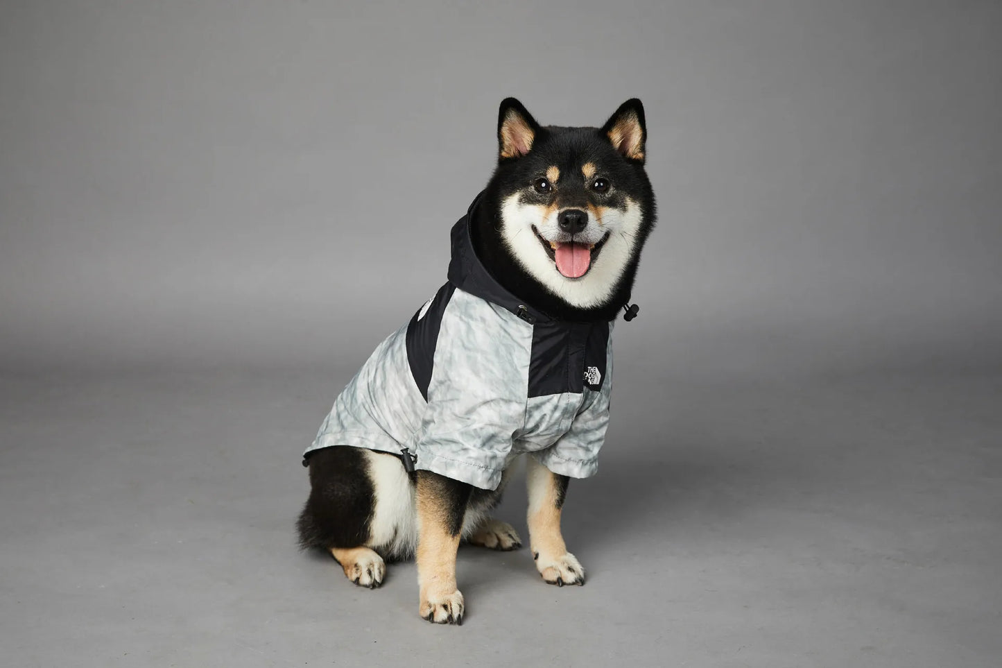 Buddy Windproof & Rainproof