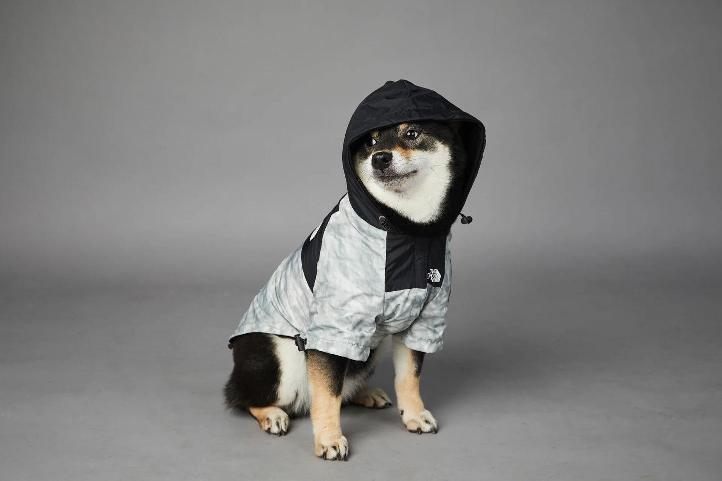 Buddy Windproof & Rainproof