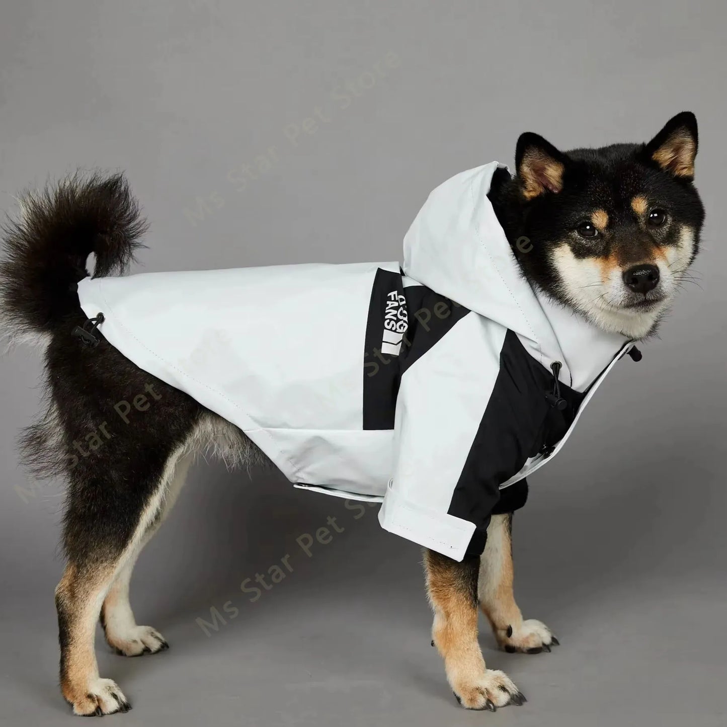 Rocky Raincoat Jacket