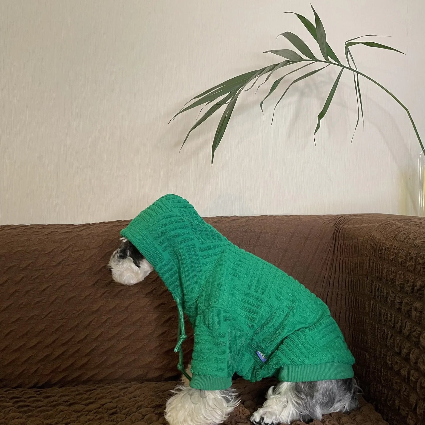 Tobby Hoddie