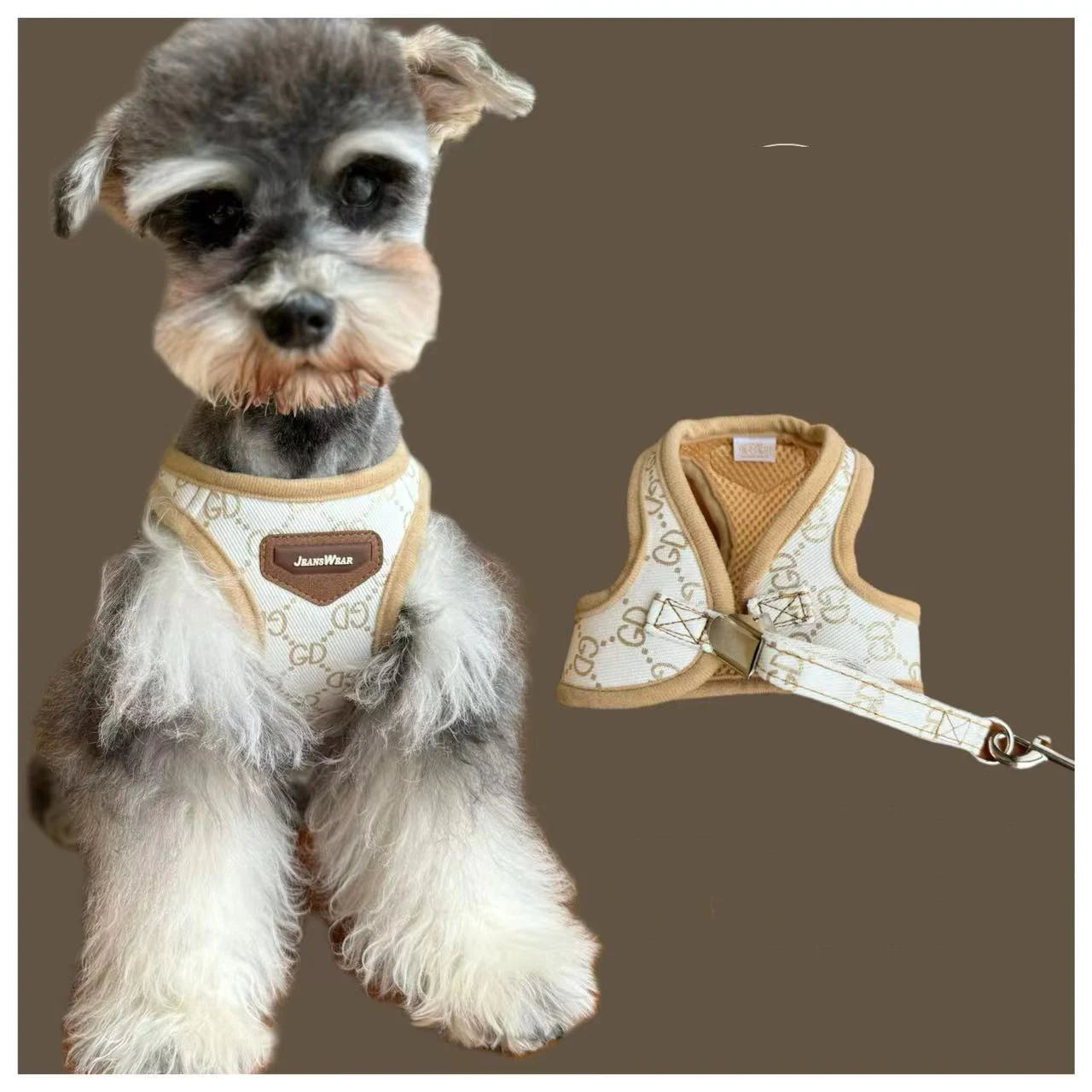 Vest Harness & Leash Set