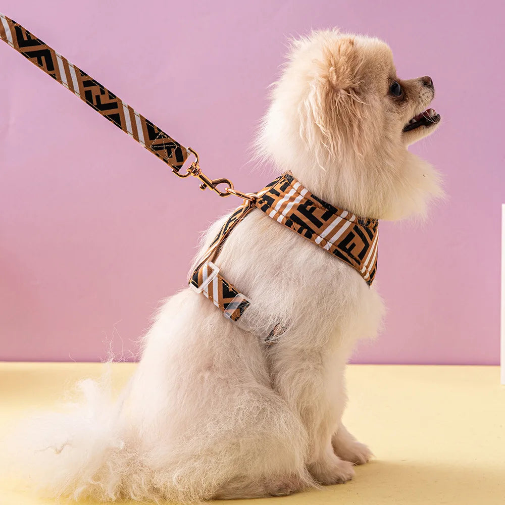 Dog Collar Maxi