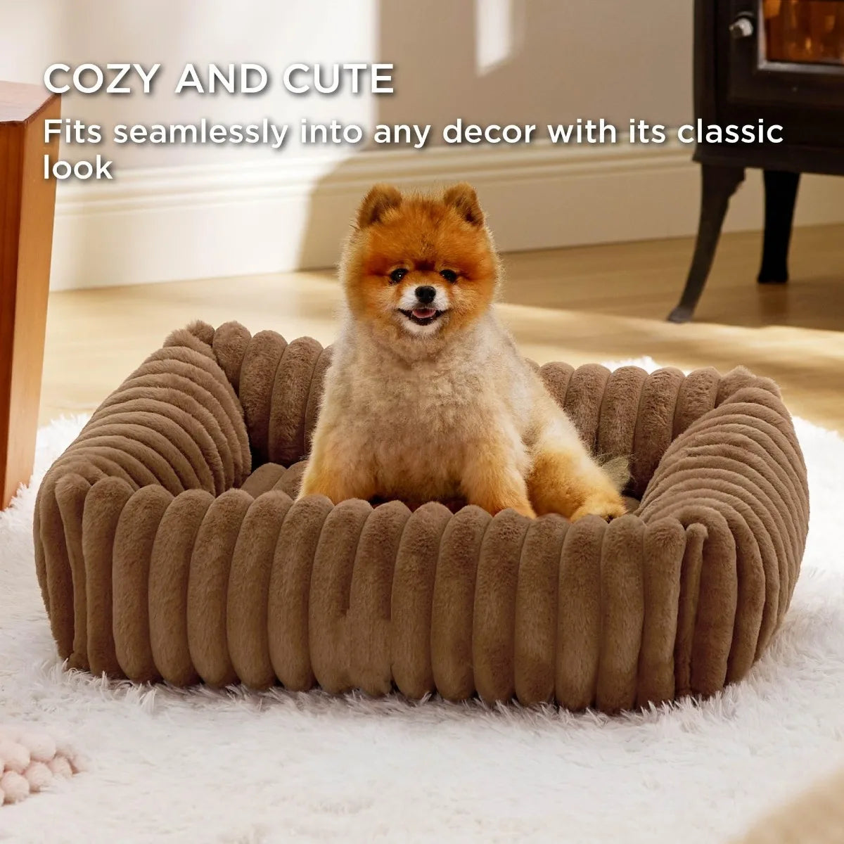 Luxury Sofa Bed